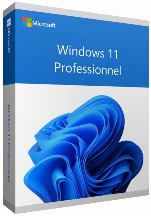 WINDOWS PRO 11 64BIT FRENCH 1PK DSP OEI DVD
