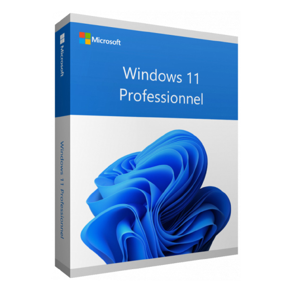 WINDOWS PRO 11 64BIT FRENCH 1PK DSP OEI DVD